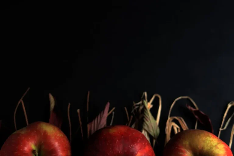Apple Cider Vinegar Gummies vs Liquid ACV: Key Differences