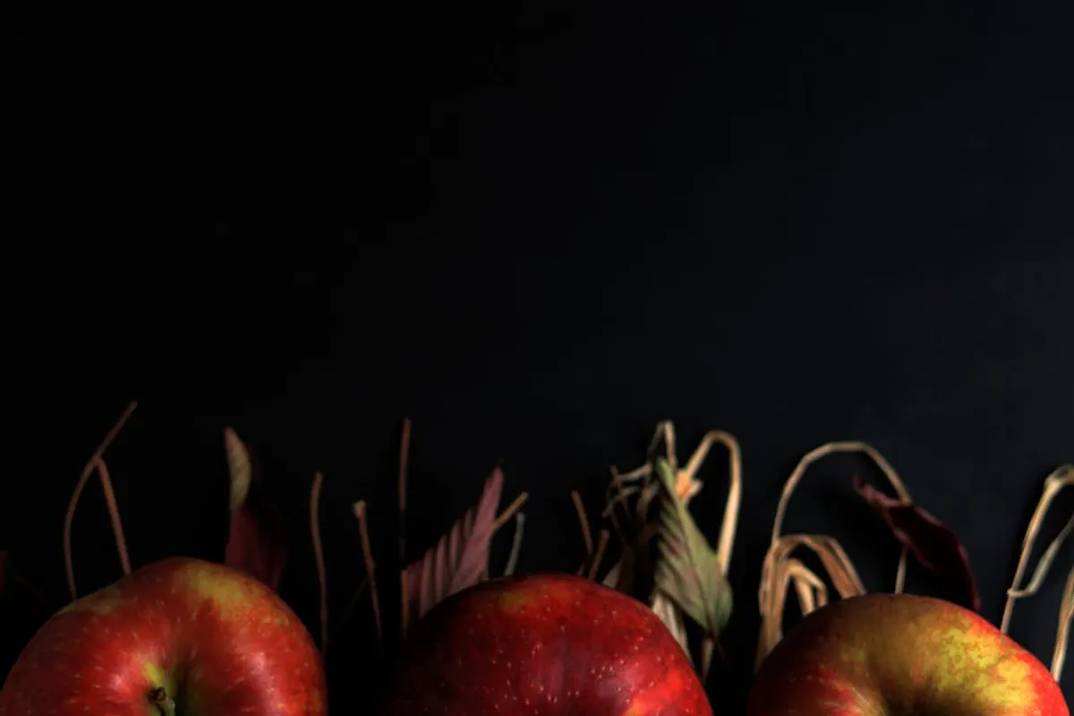 Apple Cider Vinegar Gummies vs Liquid ACV: Key Differences
