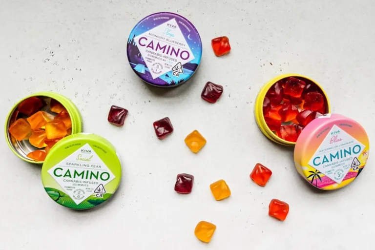 How to Compare Gummies, Capsules, and Powders